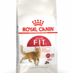 Royal Canin FHN FIT32 4KG