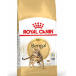 Royal Canin FBN BENGAL 2KG INT 16C