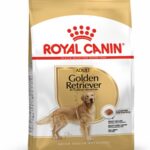 Royal Canin BHN GOLDEN RET AD 3KG