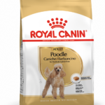 Royal Canin BHN POODLE ADULT 1.5 K