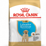 Royal Canin BHN LABRADOR JUNIOR 12K