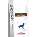 Royal Canin VD DOG GASTRO INTESTINAL 2KG