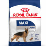 Royal Canin SHN MAXI ADULT 15K