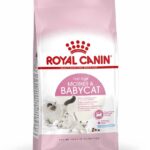 Royal Canin FHN MOTHER&BABY CAT 2KG