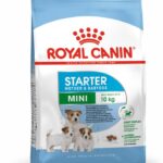Royal Canin SHN MINI STARTER M&B 1KG