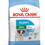 Royal Canin SHN MINI JUNIOR 800G