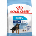 Royal Canin SHN MAXI JUNIOR 15 KG