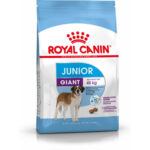 Royal Canin SHN GIANT JUNIOR 15KG