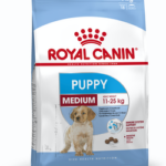 Royal Canin SHN MEDIUM JUNIOR 4K