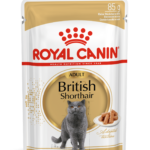 Royal Canin BR SHORTHAIR 12X85G INT1 17C