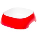 GLAM LARGE RED BOWL