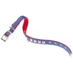 DUAL CF25/45 PI BLUE-REDCOLL