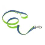 DUAL G20/120 ST L.BLUE-GREEN