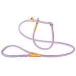 DERBY GC12/170 LEAD PURPLE