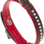 LUX C12/22 COLLAR BLACK-RED