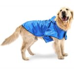 SAILOR BLU TG 34 2016