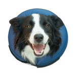 Inflatable Buster Collar for dogs and cats - XL