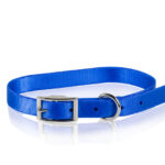 Nylon buckle collar- Blue 20mmx50cm