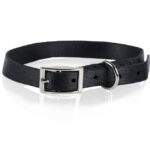 Nylon buckle collar - Black 25mmx60cm