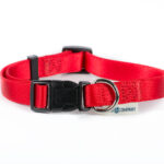 Nylon adjustable collar - Red 20mmx30-50cm