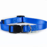 Nylon adjustable collar - Blue 20mmx30-50cm