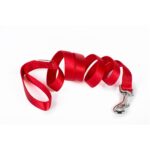 Nylon leash - Red 20 mm x 120cm