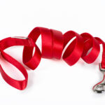Nylon leash - Red 25 mm x 120 cm