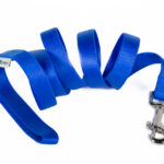 Nylon leash - Blue 25 mm x 120cm