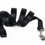 Nylon leash - Black 25 mm x 120cm