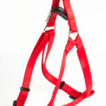 Nylon harness - Red 20mmx50-71cm