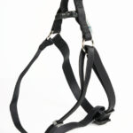Nylon harness - Black 20mmx50-71cm