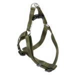 Nylon harness - Hunter Green 20mmx50-71cm