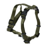 Nylon harness - H model - Hunter Green 10mmx20-35c
