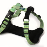 Nylon Deluxe Harness Lime Green M - 25mmx53-60cm