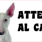 Attenti al cane in forex Bull Terrier 25x12,5 cm