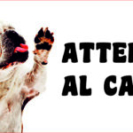 Attenti al cane in forex Bulldog Inglese 25x12,5cm