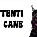 Attenti al cane in forex Snauzer 25x12,5cm