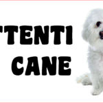 Attenti al cane in forex Maltese 25x12,5cm