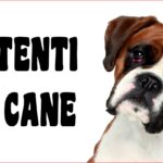 Attenti al cane in forex Boxer 25x12,5cm