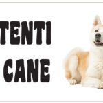 Attenti al cane in forex Akita Inu 25x12,5cm