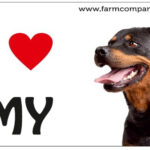 "I Love" Magnet 9x6cm - Rottweiler