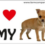 "I Love" Magnet 9x6cm - Chihuahua