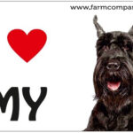 "I Love" Magnet 9x6cm - Schnauzer