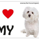 "I Love" Magnet 9x6cm - Maltese