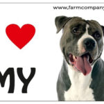 "I Love" Magnet 9x6cm - Pittbull