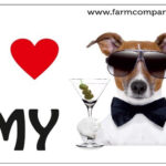 "I Love" Magnet 9x6cm - Jack Russel