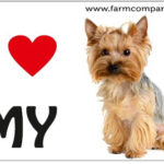 "I Love" Magnet 9x6cm - Yorkshire