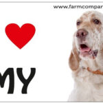 "I Love" Magnet 9x6cm - English Setter