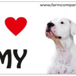 "I Love" Magnet 9x6cm - Argentine dogo