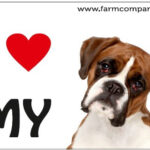 "I Love" Magnet 9x6cm - Boxer